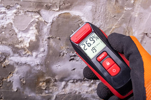 Best Mold Remediation for Schools in Cordaville, MA