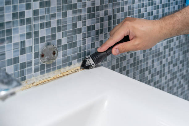 Best Kitchen Mold Remediation in Cordaville, MA